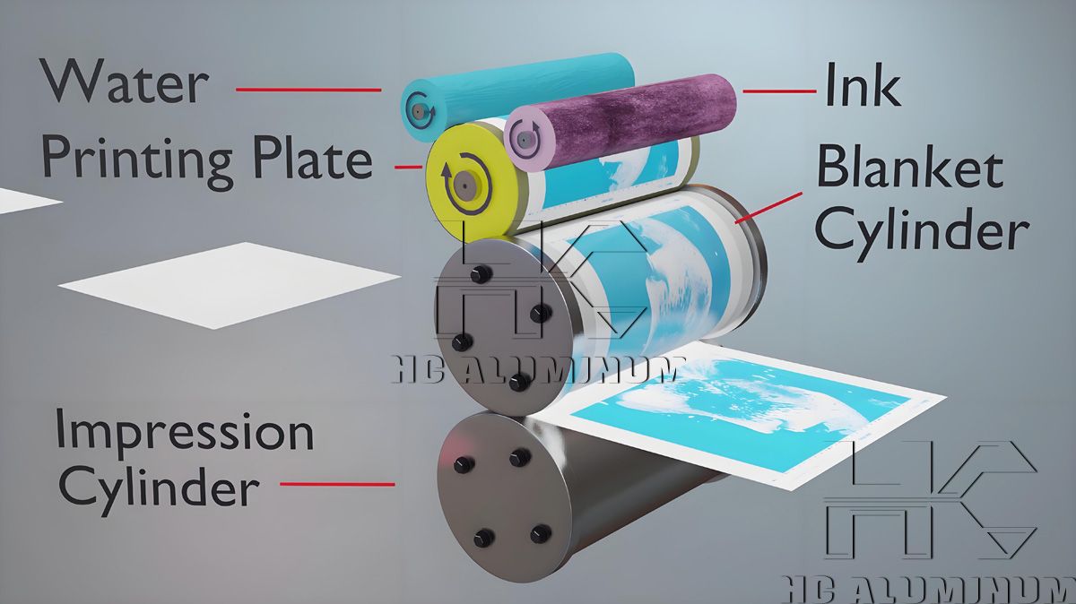 Structure of Thermal CTP Plates.jpg